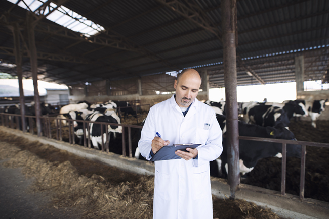 Addressing Animal Health in Oman